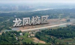 縉云校區爆料案件最新,揭秘校園疑云，真相即將揭曉