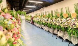 花籃網爆料最新網站,最新網站幕后故事大曝光