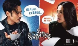 離婚律師爆料案例大全最新,最新案例大全深度剖析婚姻裂痕背后的真相