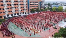 溆浦縣凱文學校最新爆料,揭秘校園風云背后的故事