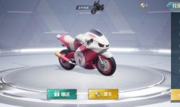 最新爆料摩托車(chē)皮膚,揭秘最新摩托車(chē)皮膚設(shè)計(jì)背后的創(chuàng)意火花