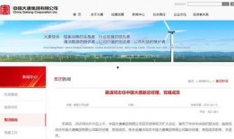 大唐集團爆料新聞最新情況,揭秘企業變革與發展動態