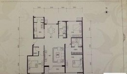 瑾兒最新動態爆料,精彩瞬間大盤點