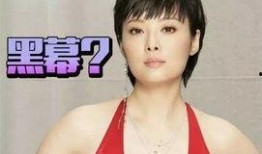 賴慰玲節目爆料最新,揭秘娛樂圈不為人知的幕后真相