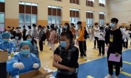 停云后續爆料最新消息,揭秘神秘事件真相，真相令人震驚！