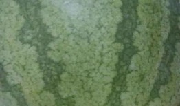 尉氏吃瓜最新事件爆料,揭秘背后驚人真相