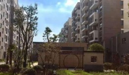 蛇姐最新爆料網址視頻,最新爆料網址視頻大揭秘！