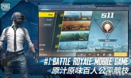 吃雞爆料新皮膚最新版,新皮膚最新版驚艷亮相，視覺盛宴即將開啟！