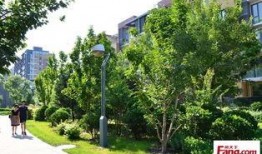 瑾兒最新動態爆料,精彩瞬間大盤點