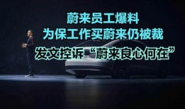 蔚來被裁員工爆料了嗎最新消息,揭秘裁員內幕與員工心聲