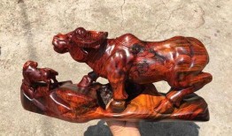 最新版本大爆料牛氣沖天,牛氣沖天，揭秘科技巨頭新動向