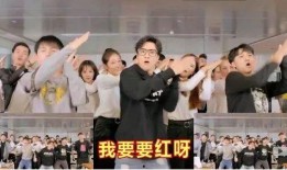 廈門皓哥最新爆料,最新爆料背后的驚人真相