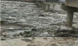 哈爾濱大橋最新爆料視頻,揭秘工程進(jìn)展與神秘細(xì)節(jié)