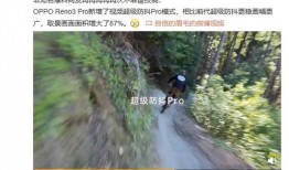 常綠干部爆料視頻最新版,揭秘權(quán)力背后的真相