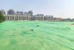 濱州市最新爆料,揭秘城市變遷背后的故事