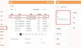 以前高招s最新爆料,內(nèi)幕曝光，招生黑幕全解析