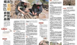 竹山農香最新爆料新聞,最新爆料新聞背后的真相