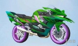 最新爆料摩托車(chē)皮膚,揭秘最新摩托車(chē)皮膚設(shè)計(jì)背后的創(chuàng)意火花