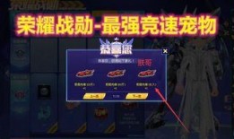 飛車戰勛最新爆料,揭秘游戲內神秘勢力與全新玩法