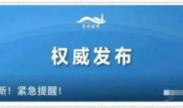 揭陽最新爆料消息公布時間,重大消息公布時間揭曉，詳情即將揭曉！”