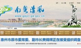 惠州清風(fēng)網(wǎng)最新爆料消息,揭秘惠州某重大事件內(nèi)幕
