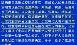 安丘最新爆料消息今天疫情,追蹤病毒傳播，共筑防疫防線”